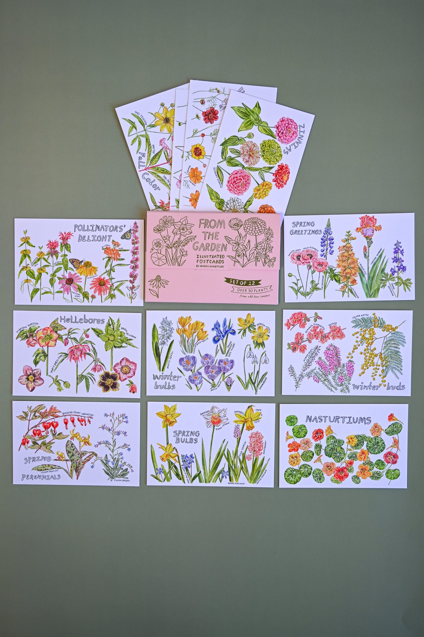 From the Garden Postcard Set of 12 By Maria Schoettler