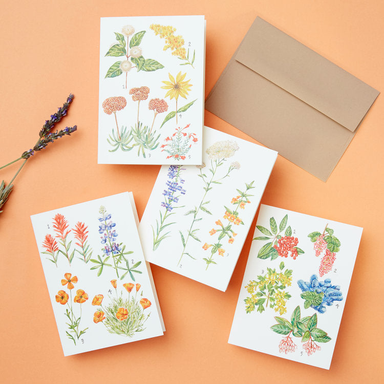 California Botany Greeting Cards Set of 8 by Maria Schoettler