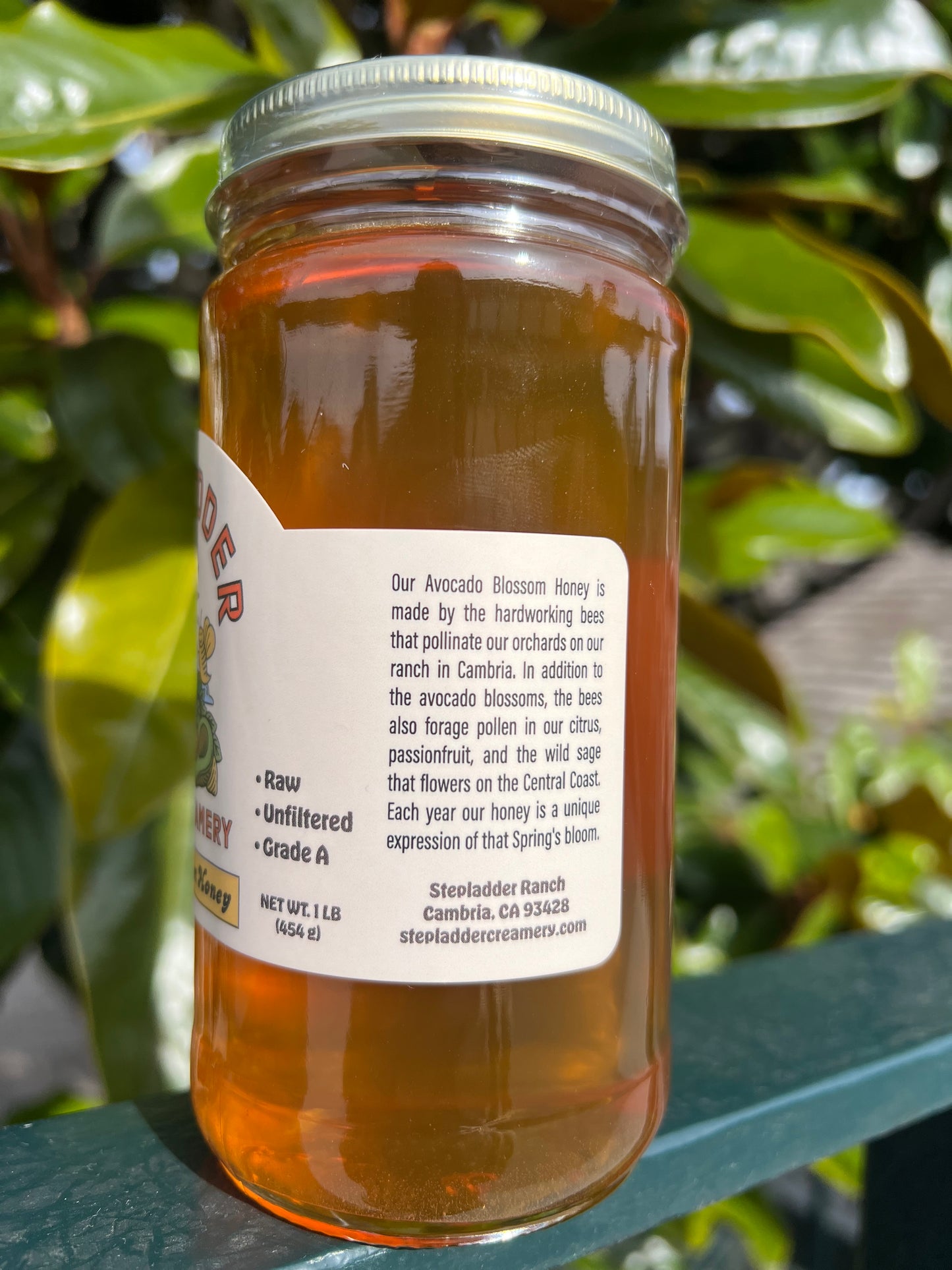 Stepladder Avocado Blossom Honey