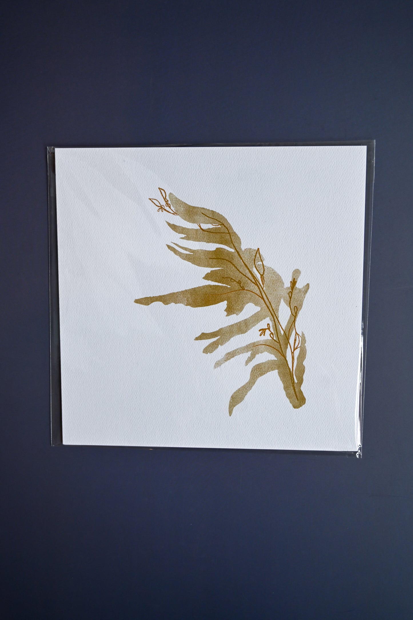 Kelp by Jilly M. Pfifferling
