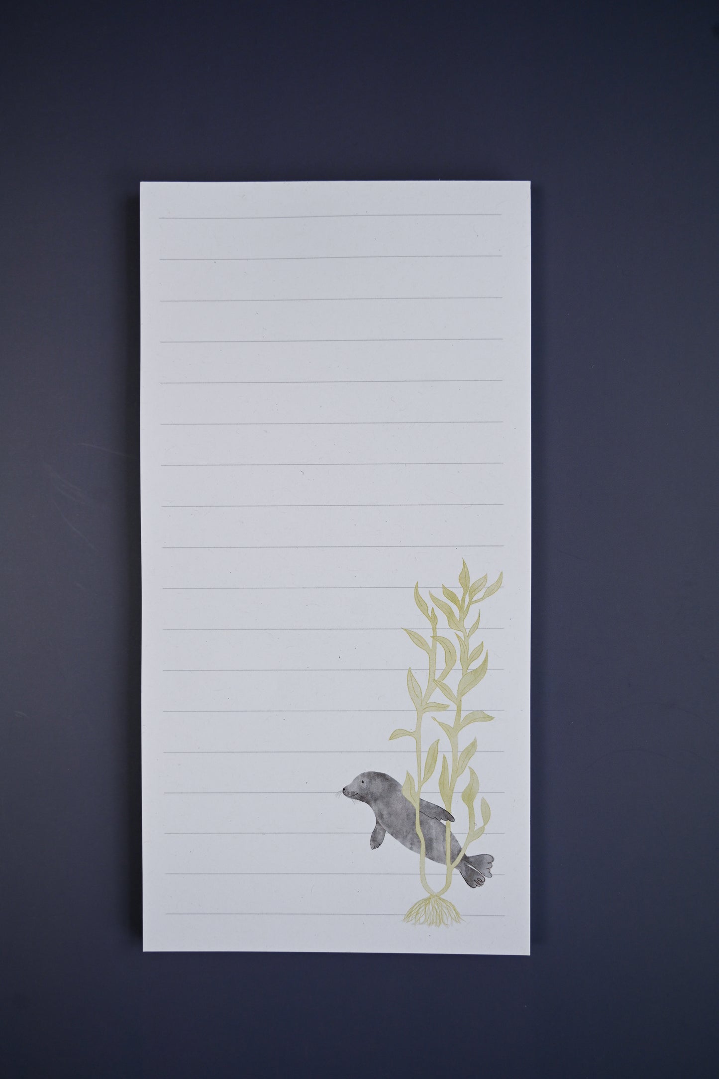 Kelp & Harbor Seal Notepad by Jilly M. Pfifferling