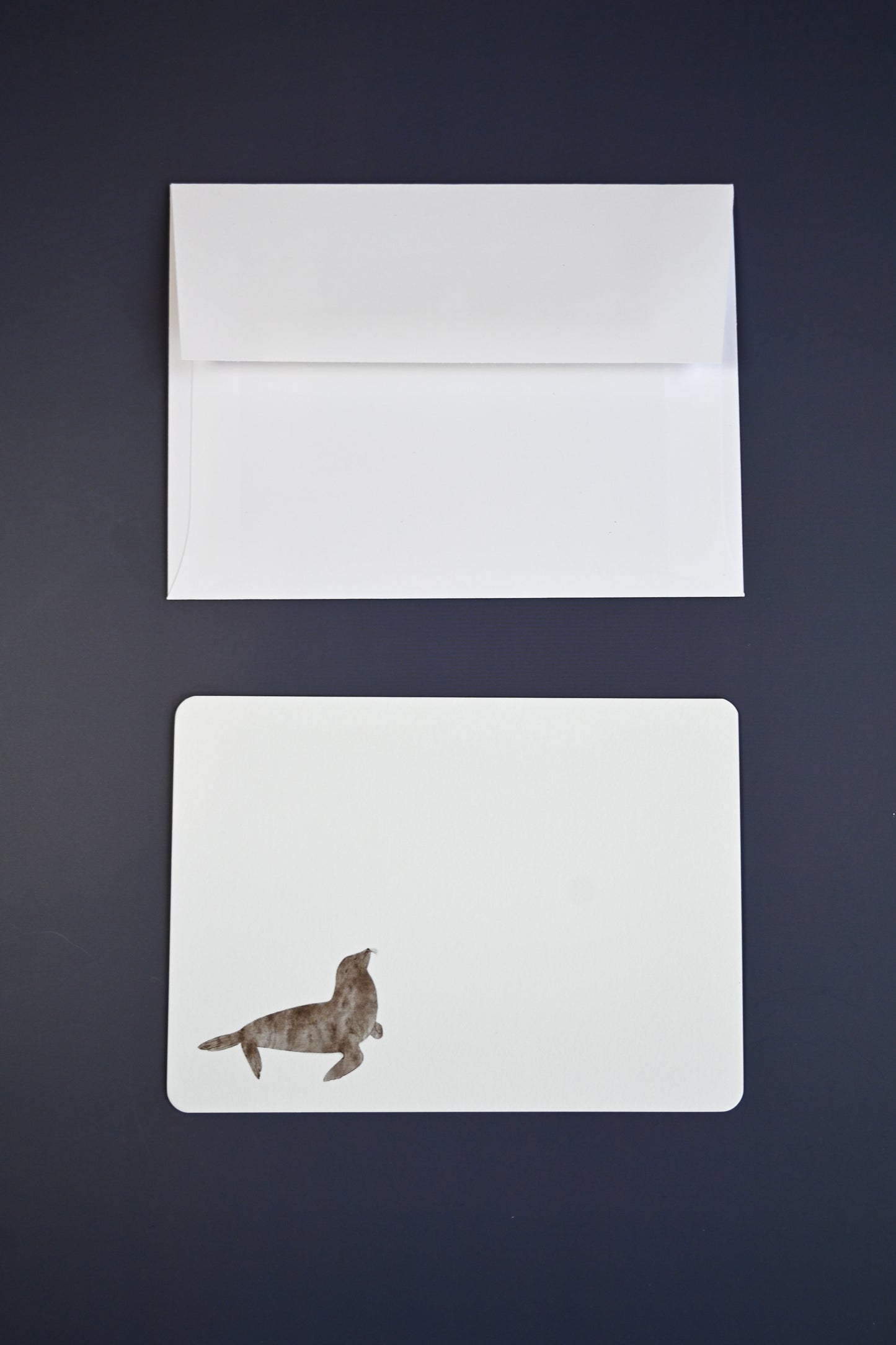 Sea Lion Notecards by Jilly M. Pfifferling