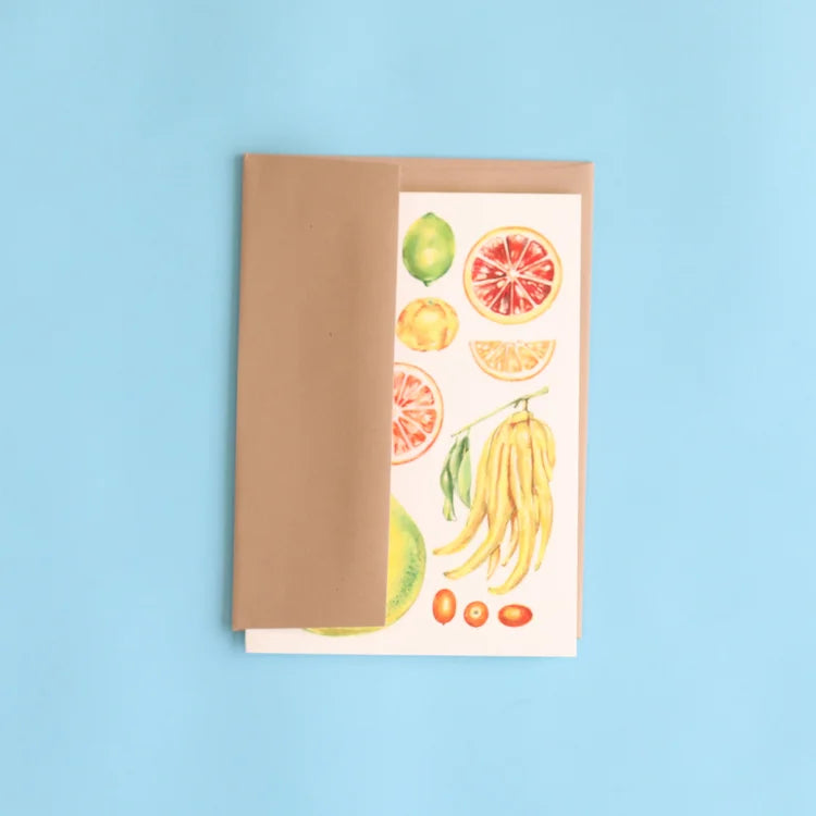 Maria Schoettler : A Taste of the Seasons Card Set of 8