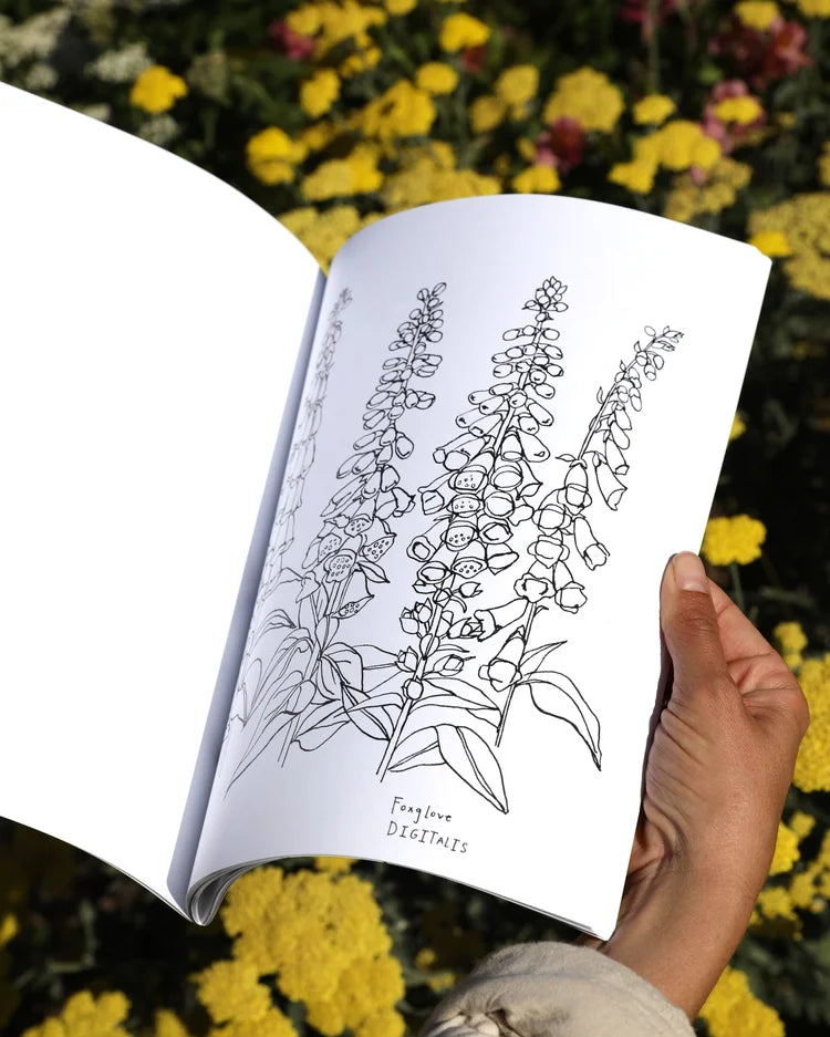 Maria Schoettler : Buds Along the Path Coloring Book