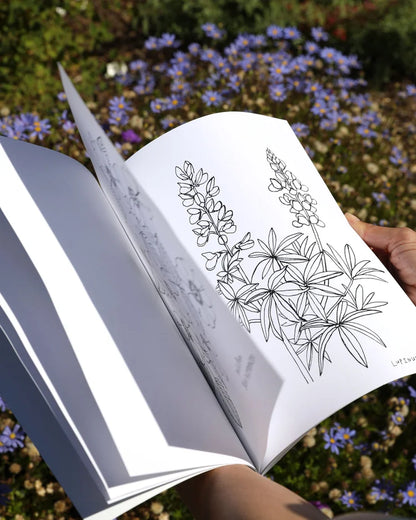 Maria Schoettler : Buds Along the Path Coloring Book