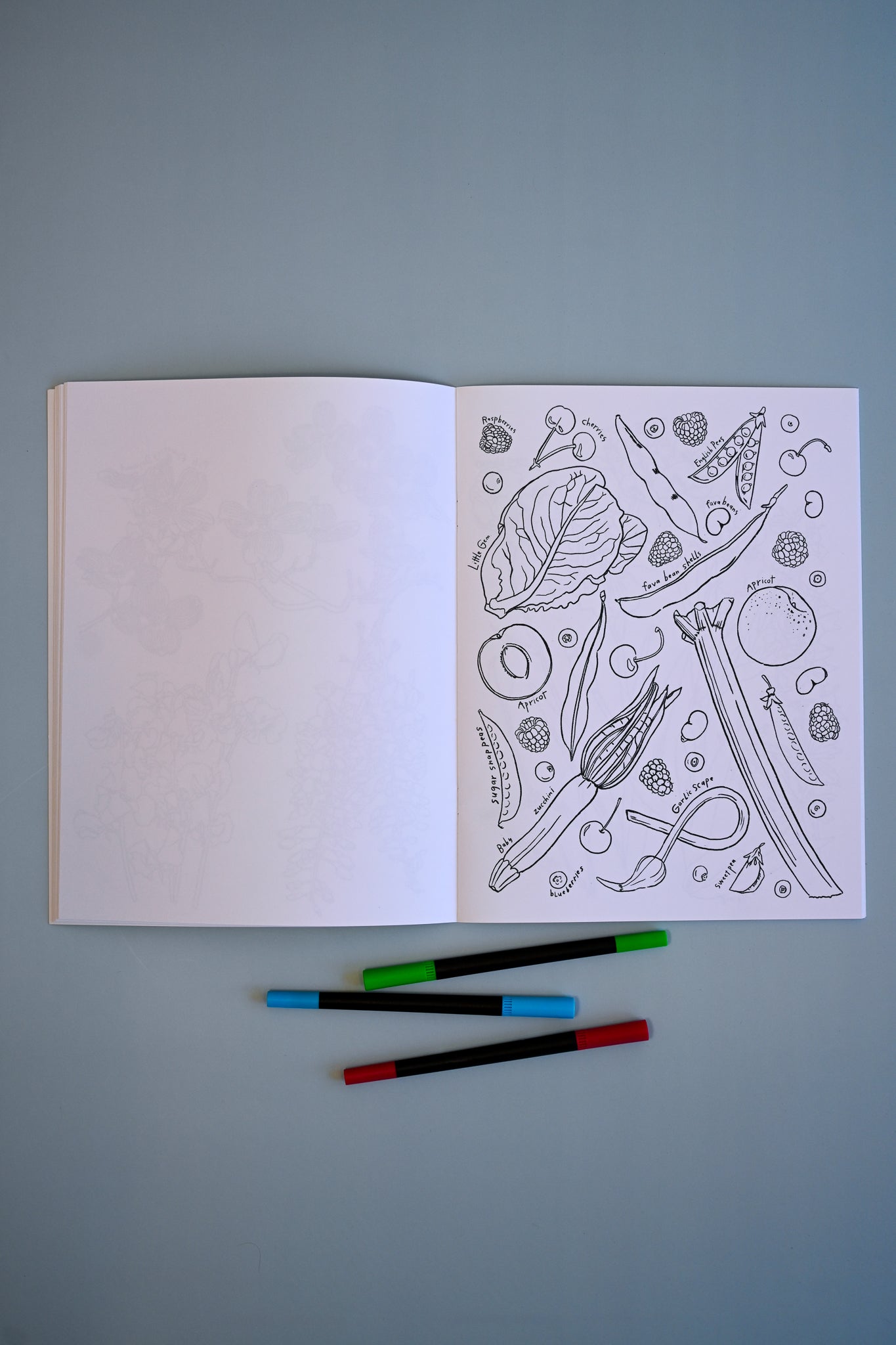 A Garden for all Season Coloring Book by Maria Schoettler