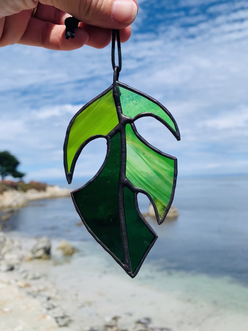 Brightfire Mini Monstera Leaf Sun Catcher Dark Green Black