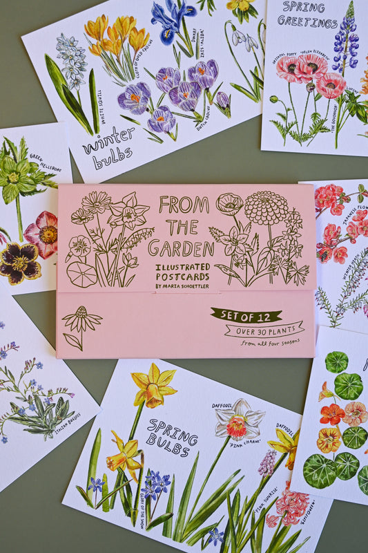 From the Garden Postcard Set of 12 By Maria Schoettler