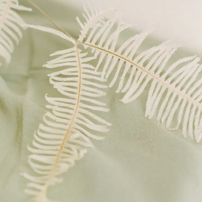 Silk Scarf - Sage