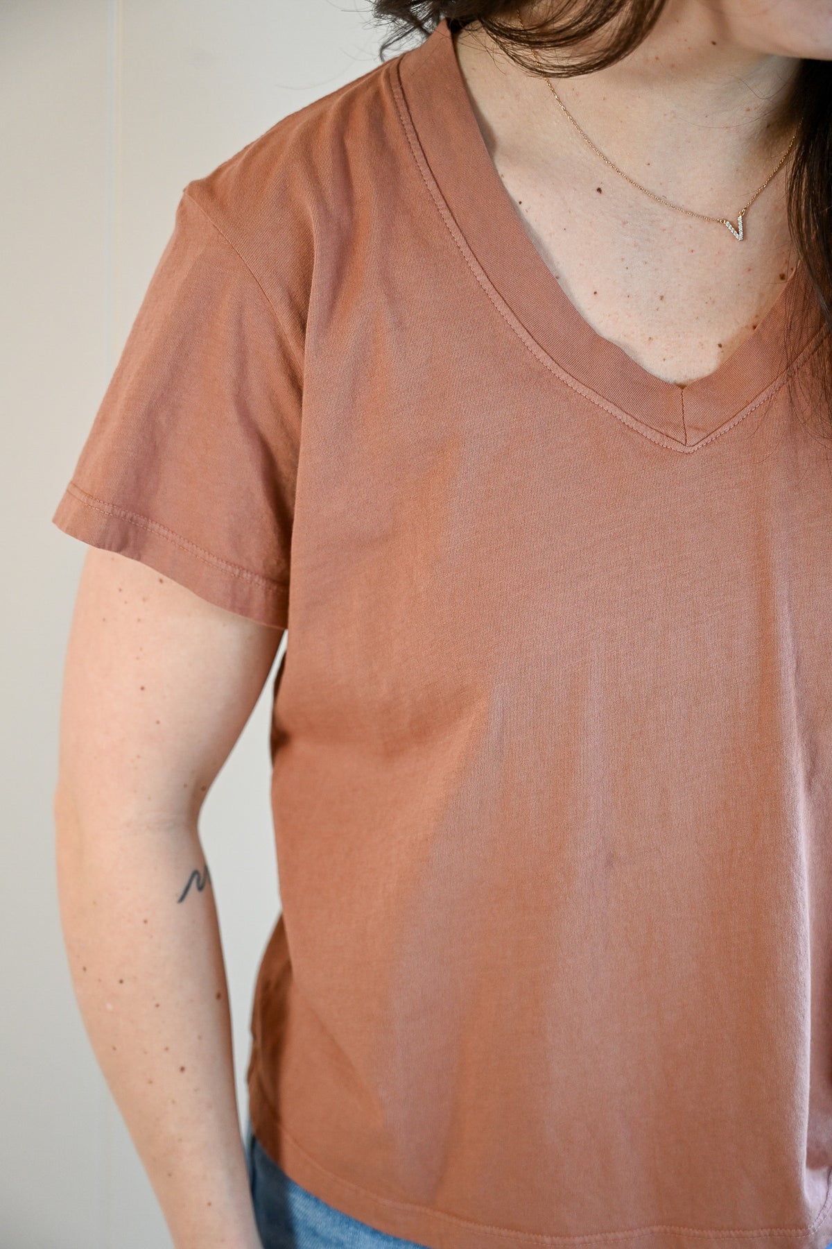 Wave Label V Neck Tee - Cooper Molera Adobe