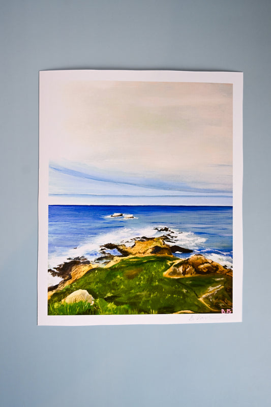 Garrapata 8x10 Print By Bea's Studio