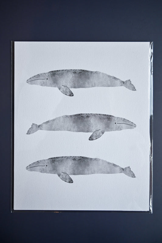 Gray Whales by Jilly M. Pfifferling