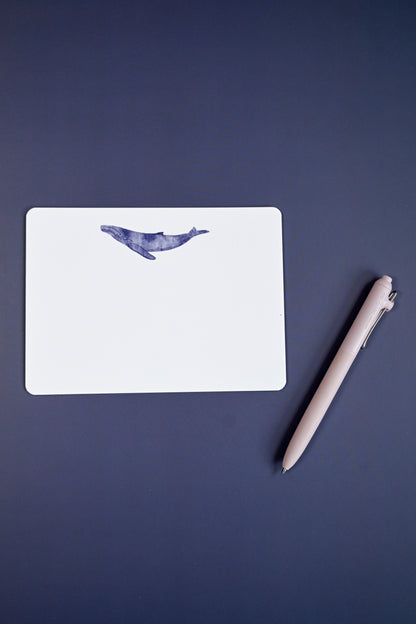 Humpback Calf Notecards by Jilly M. Pfifferling