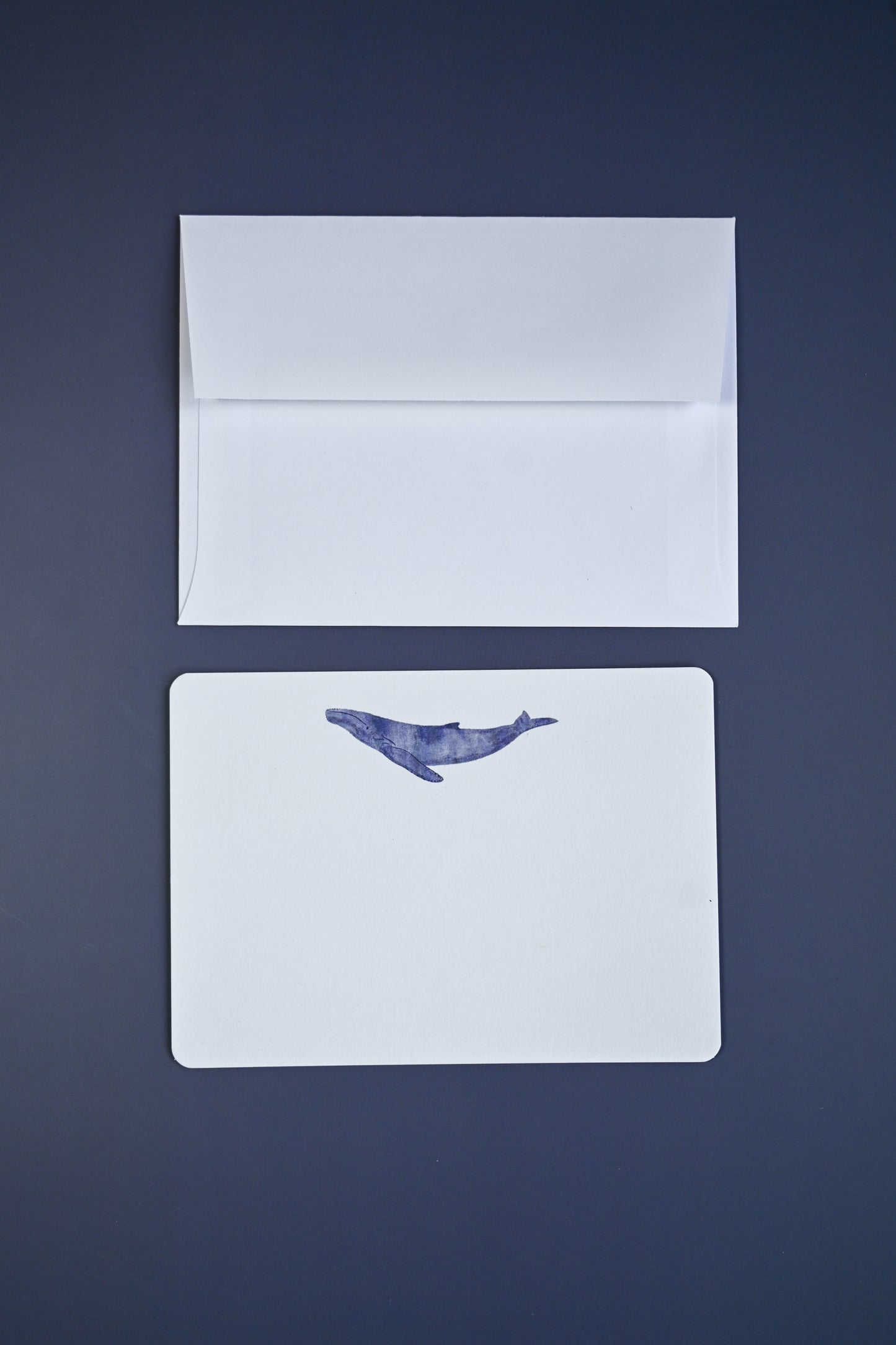 Humpback Calf Notecards by Jilly M. Pfifferling