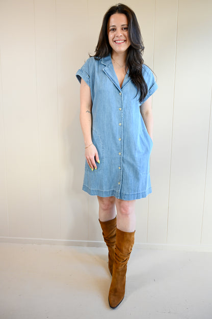 Shafter Avenue Denim Dress