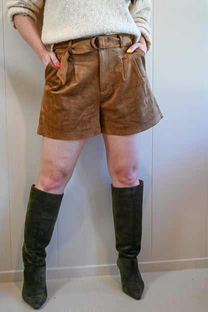 Moreland Avenue Suede Shorts