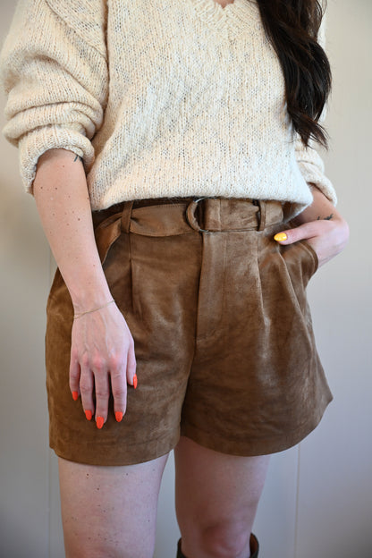 Moreland Avenue Suede Shorts
