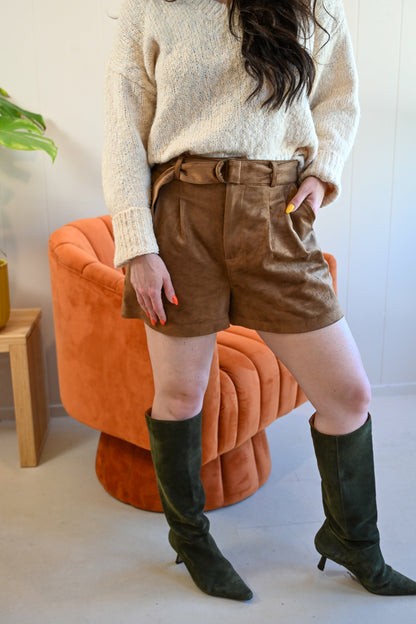 Moreland Avenue Suede Shorts