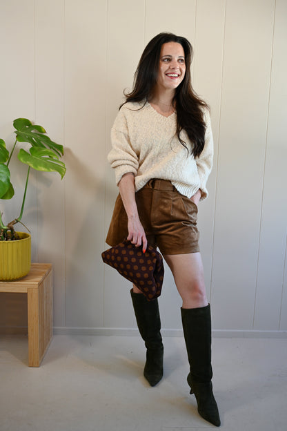Moreland Avenue Suede Shorts