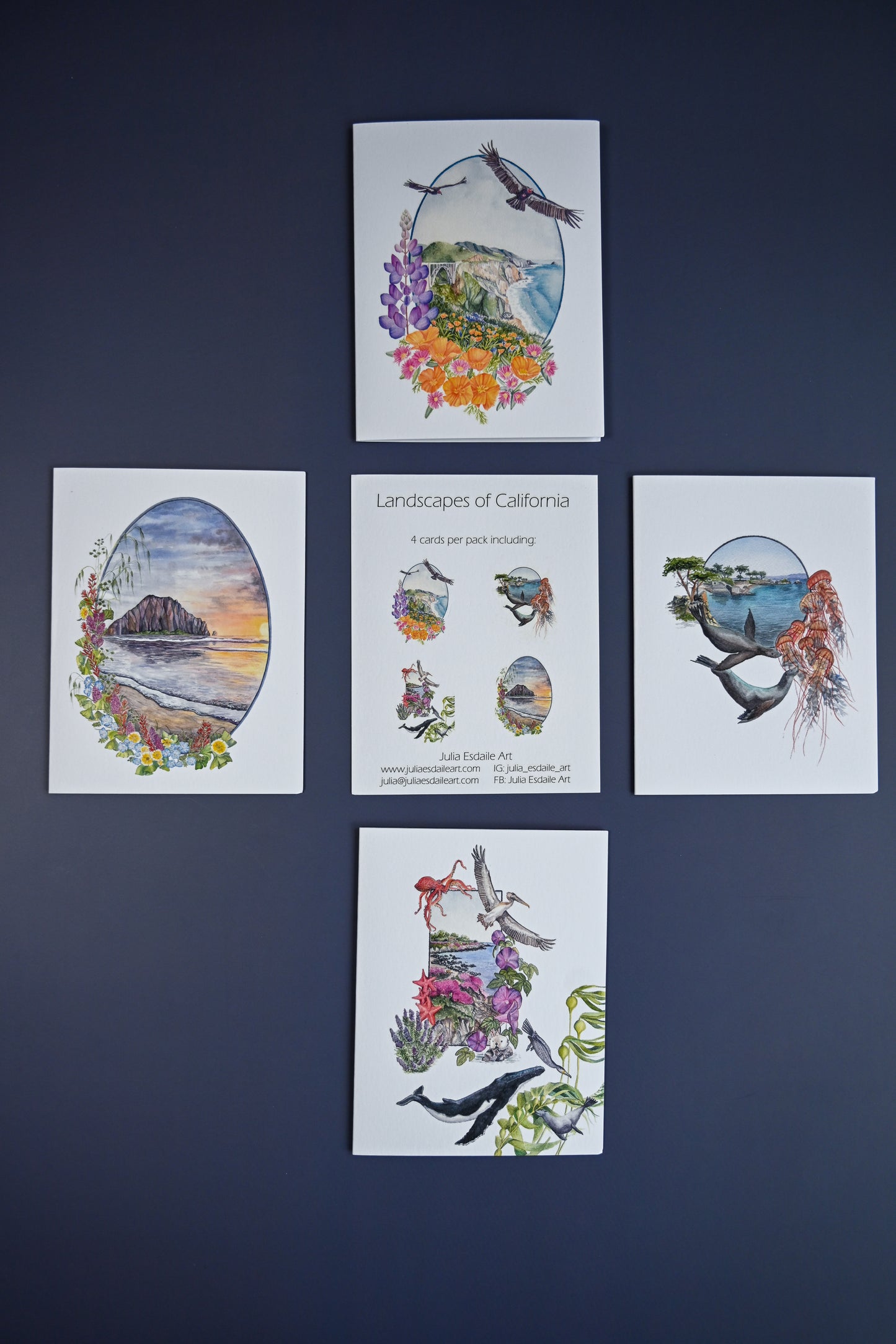 4 Pack Card Sets By By Julia Esdaile